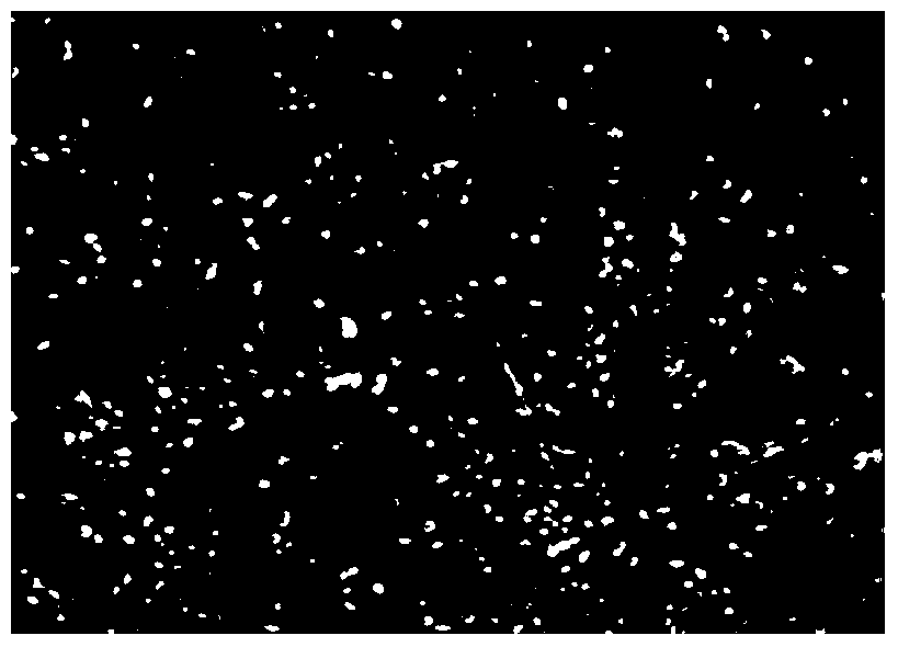 Primary isolation and culture method of amniotic fluid mesenchymal stem cells