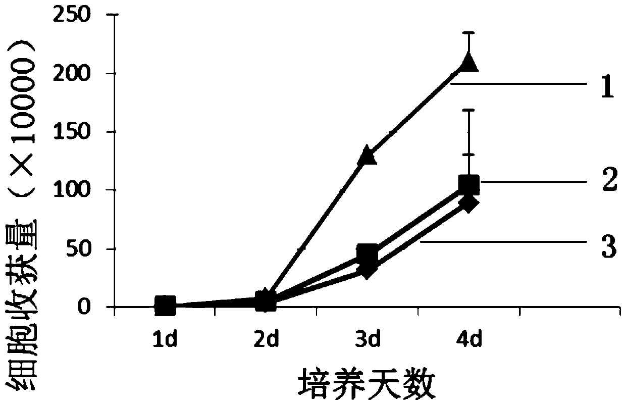 Primary isolation and culture method of amniotic fluid mesenchymal stem cells