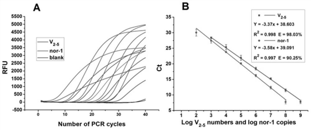 A method for identifying and evaluating the toxicity of aflatoxin-producing strains