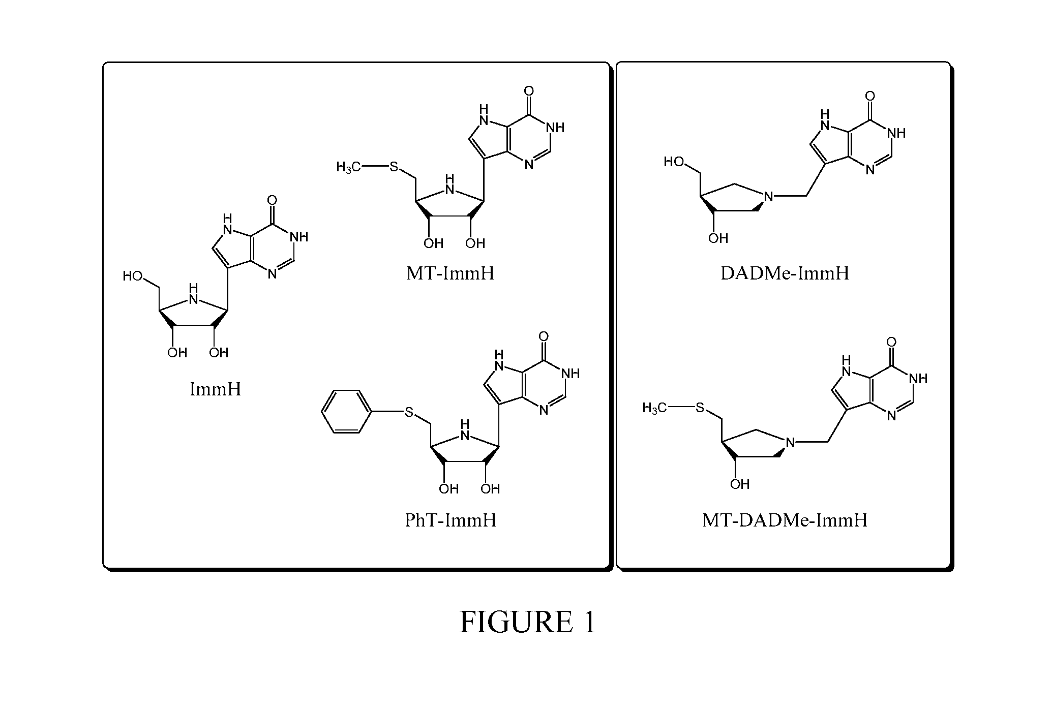 Methods, assays and compounds for treating bacterial infections by inhibiting methylthioinosine phosphorylase