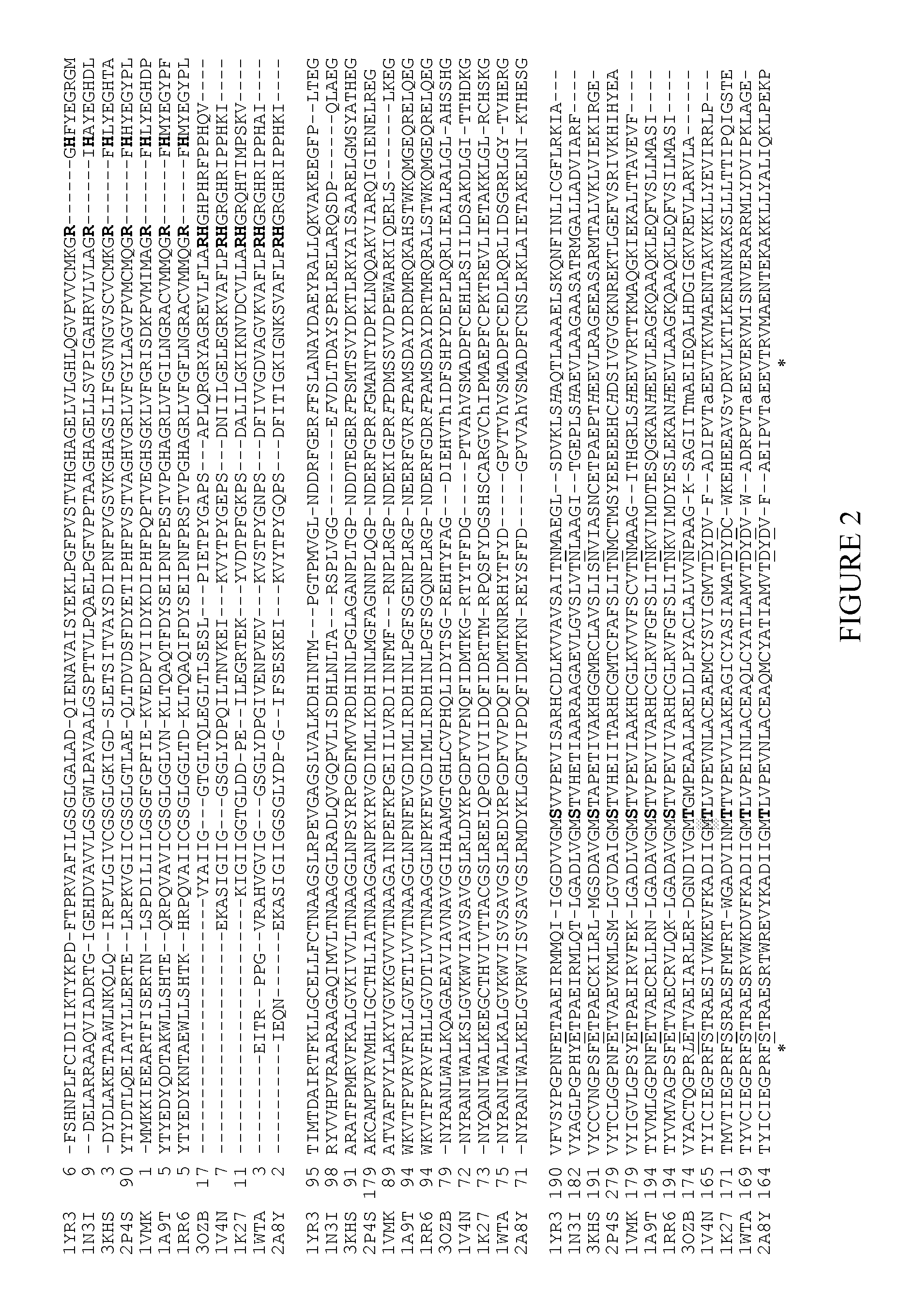 Methods, assays and compounds for treating bacterial infections by inhibiting methylthioinosine phosphorylase
