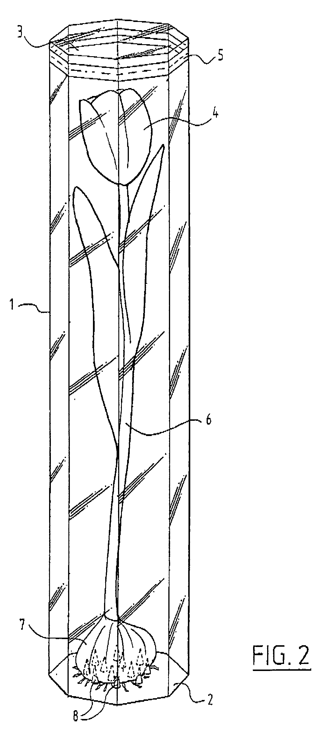 Display package at least substantially made of a transparent plastic material