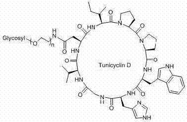 Glycosylated derivative of cyclic peptide compounds and preparation method and application thereof