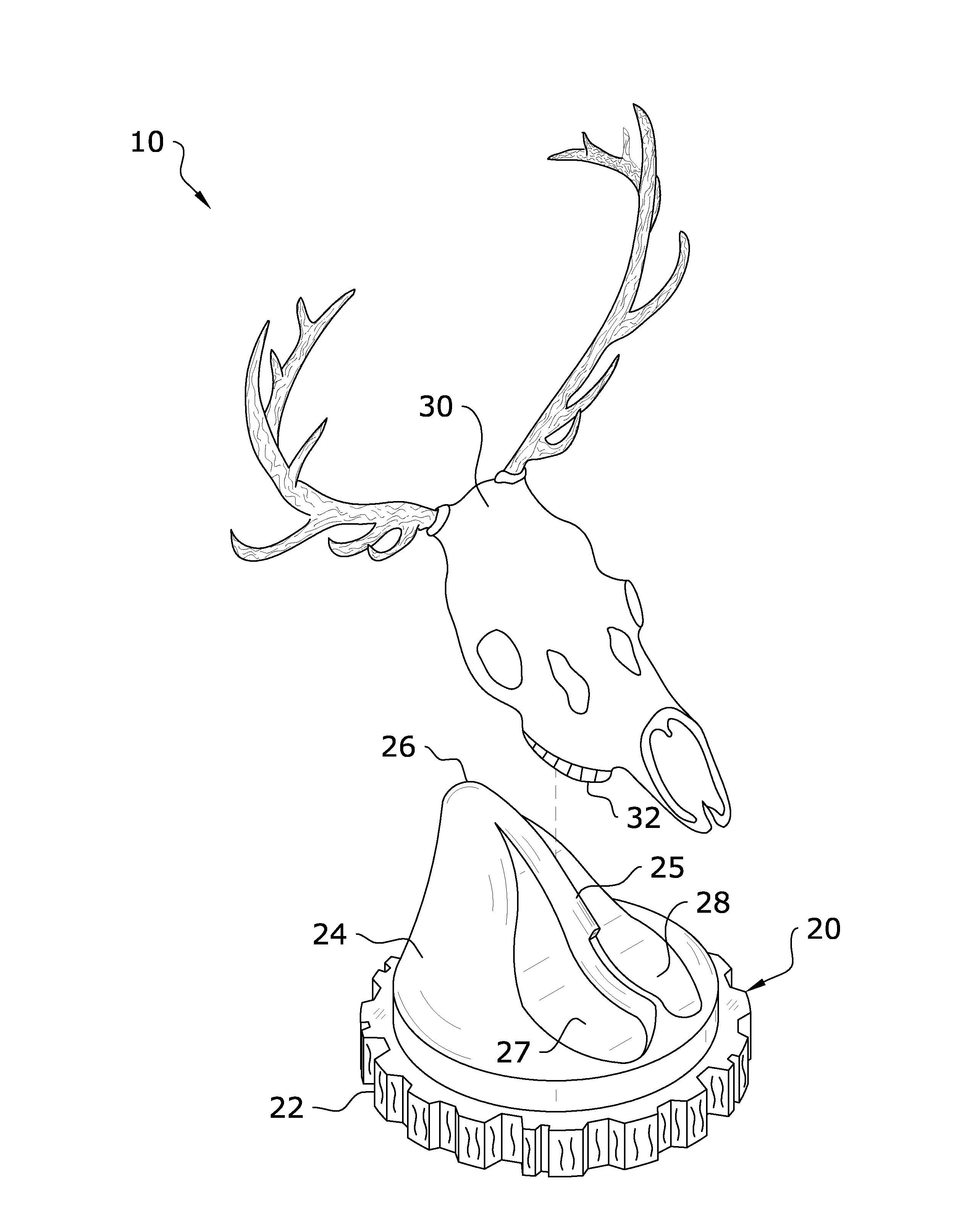 Skull mounting and casting system