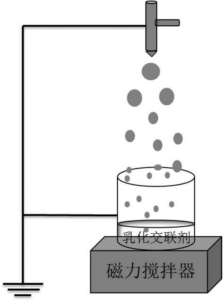 Chitosan microsphere preparation method