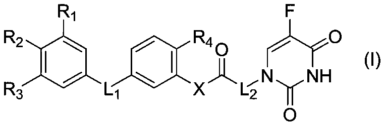 Preparation and application of a 5-fluorouracil substituted carboxylic acid derivative