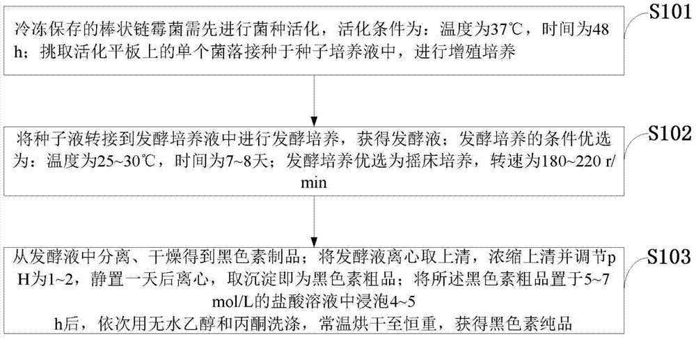 Streptomyces clavuligerus and use method of streptomyces clavuligerus in melanin production