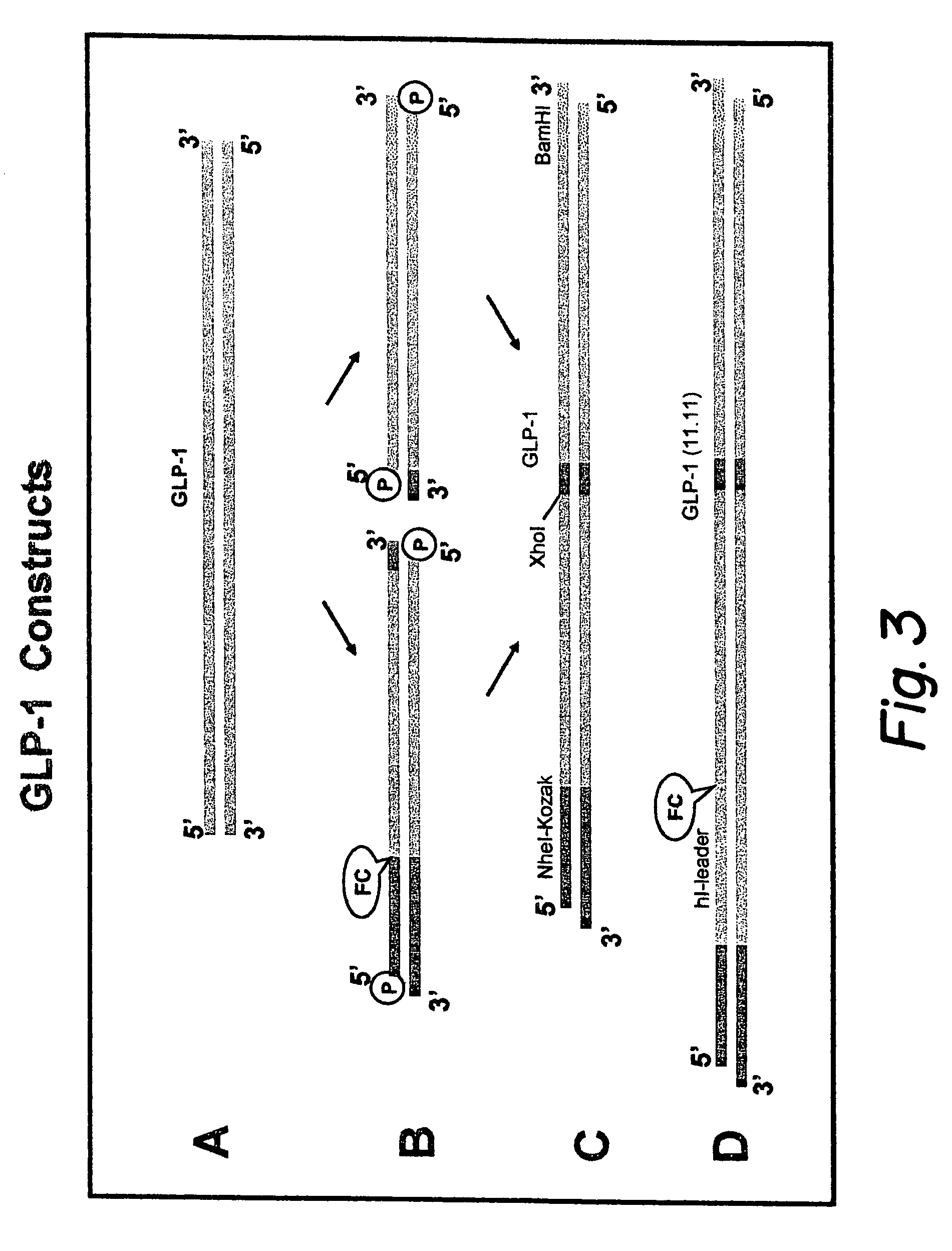 Modified nucleotide sequence encoding glucagon-like peptide-1 (GLP-1), nucleic acid construct comprising same for production of glucagon-like peptide-1 (GLP-1), human cells comprising said construct and insulin-producing constructs, and methods of use thereof