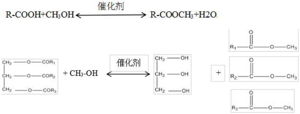 Preparation method and application of composite catalyst for preparing biodiesel