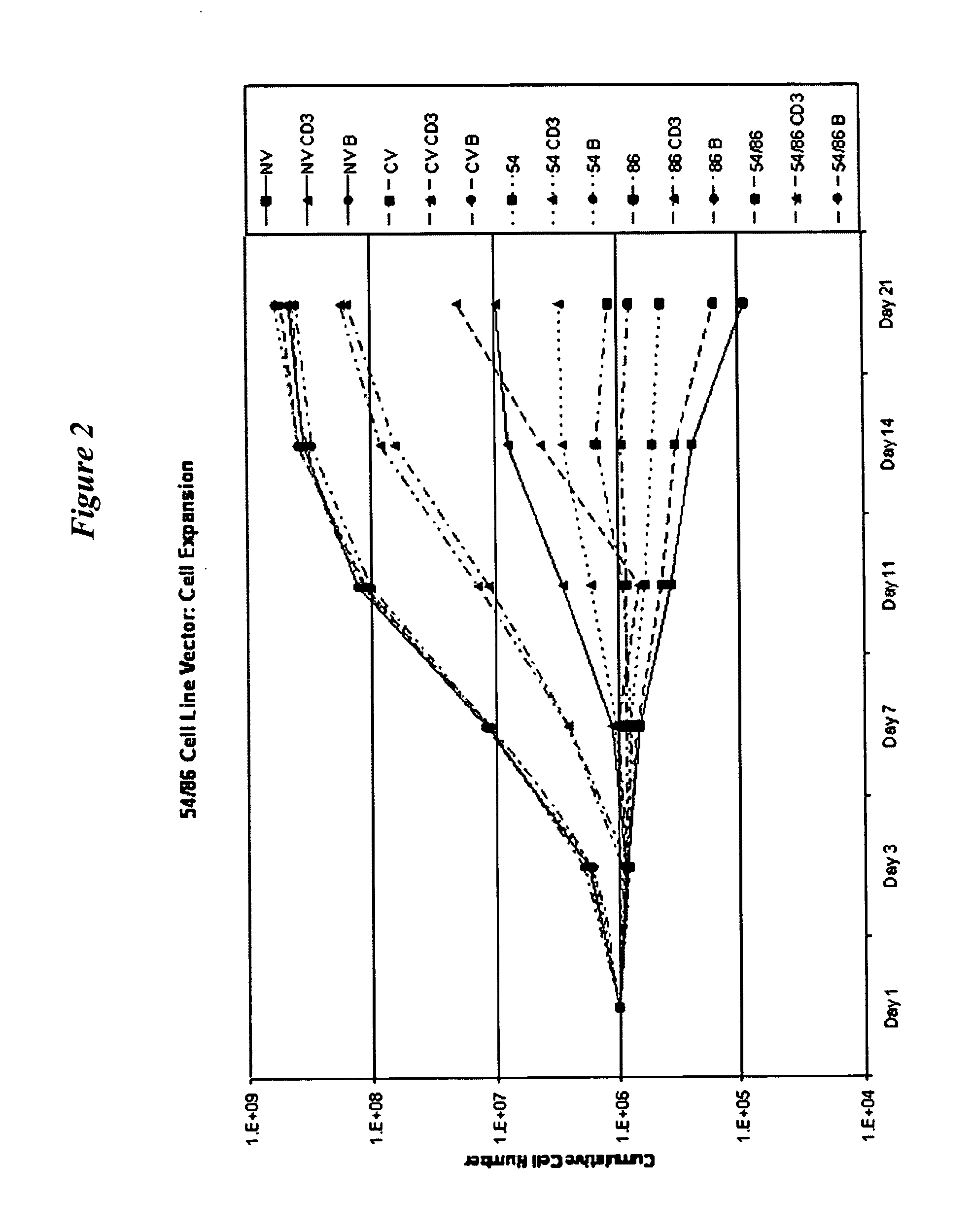 Vector packaging cell line