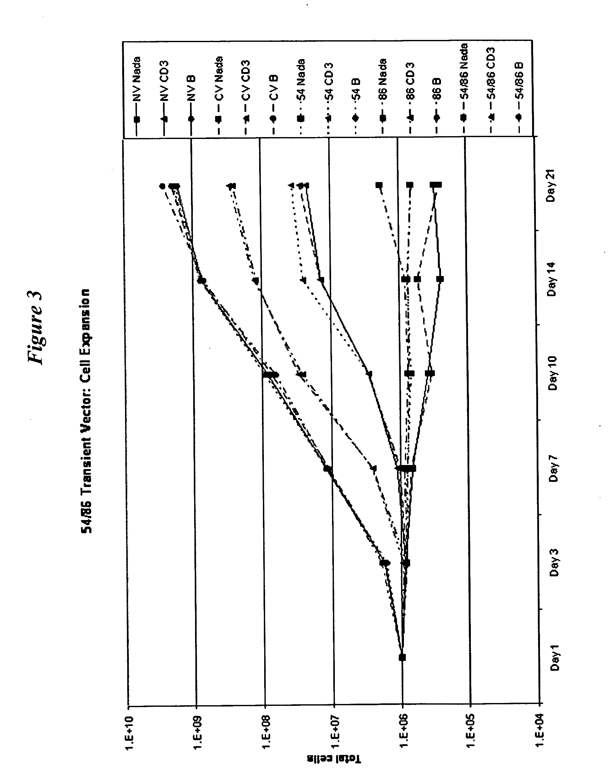 Vector packaging cell line