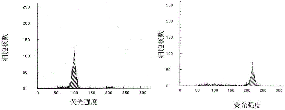 A method for inducing tetraploidy of garlic using amisulfameline