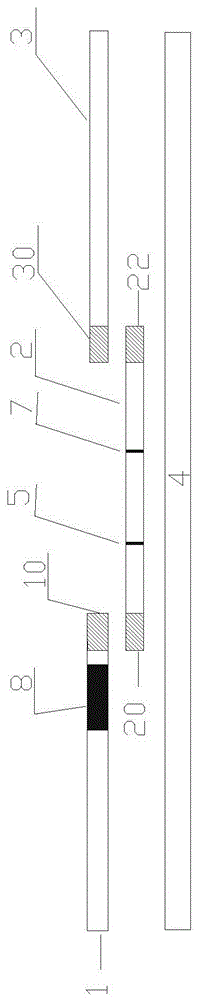 Activating fluorescent latex microsphere for D-dipolymer fluorescence immunochromatography test card