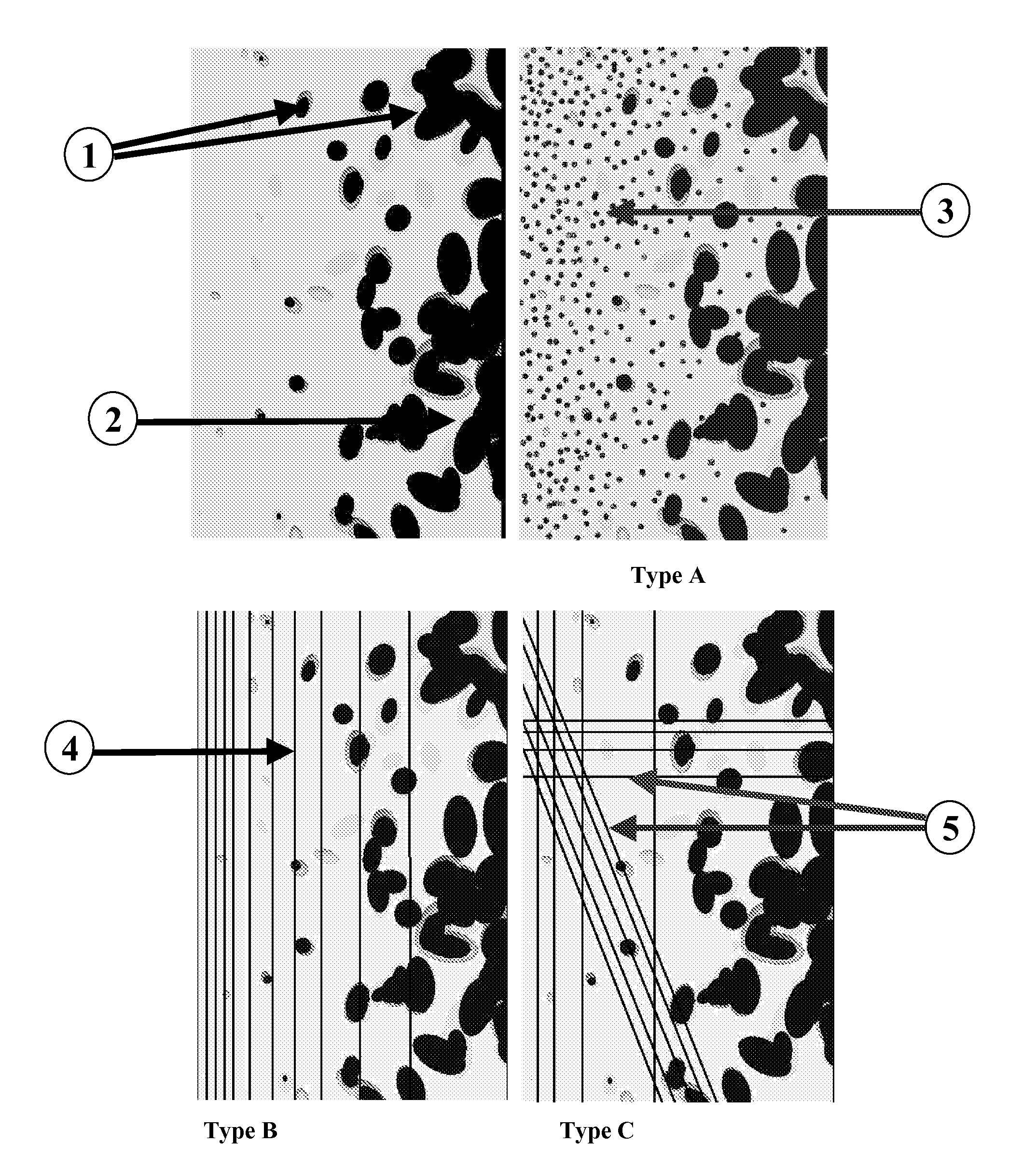 Cellular gradient polymer composites