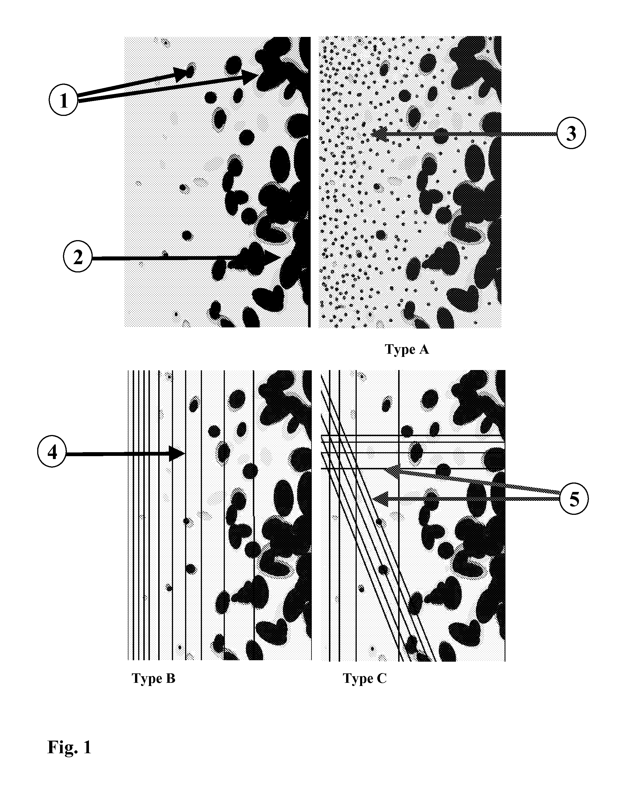 Cellular gradient polymer composites