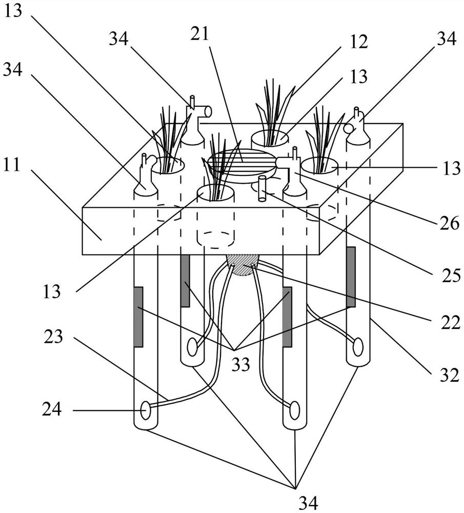 Steam stripping ultraviolet coupling spray irrigation type ecological water purification system