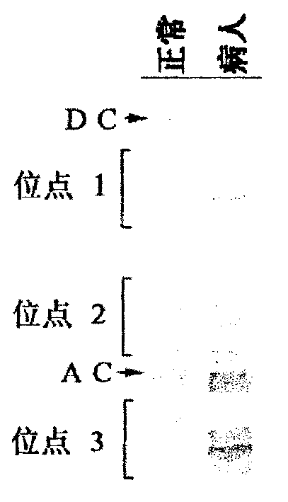 Method for detecting human No.21 triple-chromosome and reagent box