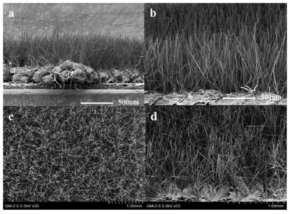 A kind of carbon fiber electrostatic flocking fabric for realizing high-efficiency photo-steam conversion and preparation method thereof