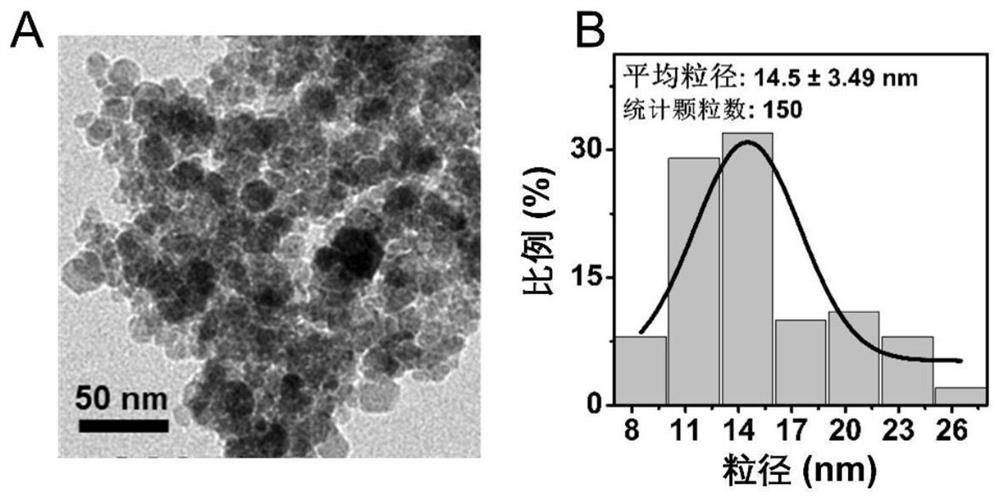 Low-renal-toxicity protein-ferric oxide composite nano magnetic resonance contrast agent as well as preparation method and application thereof