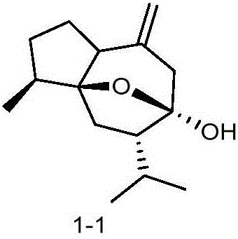 Curcumenol derivative as well as preparation method and application thereof in antitumor drugs