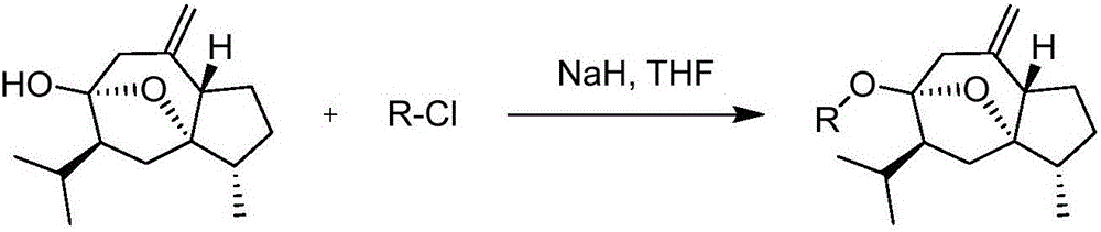 Curcumenol derivative as well as preparation method and application thereof in antitumor drugs