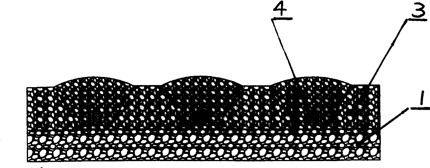 Wide row, double-bud horizontally placing, film-mulching method for sugar cane plantation