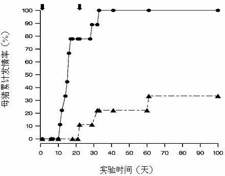 Application of inhibin recombinant fusion protein to preparing medicines for promoting oestrus and hybridization of sows