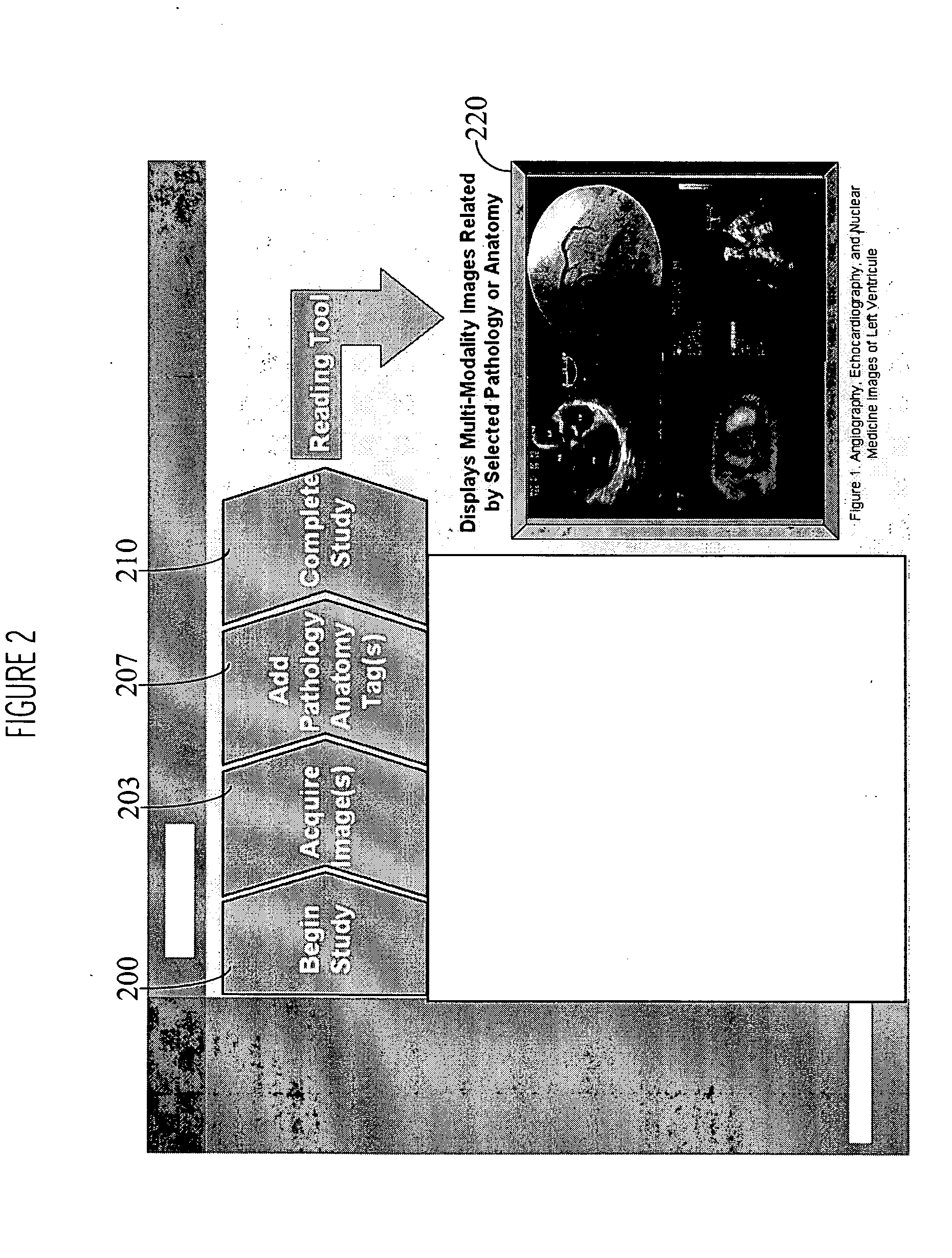 System for processing medical image representative data from multiple clinical imaging devices