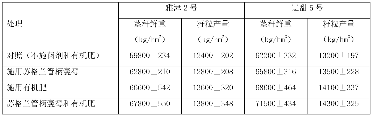 Method for promoting the growth of sweet sorghum in saline-alkali land with arbuscular mycorrhizal fungi and organic fertilizer