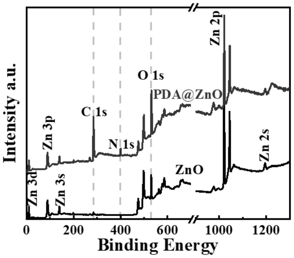 Polymer dielectric elastomer as well as preparation method and application thereof