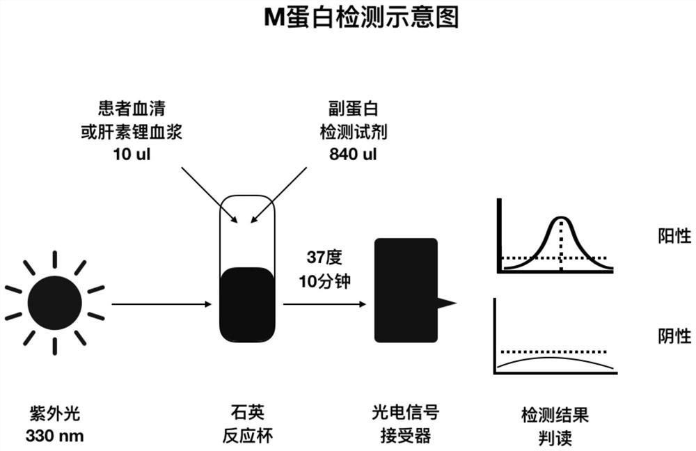 M protein ultraviolet spectroscopy detection method