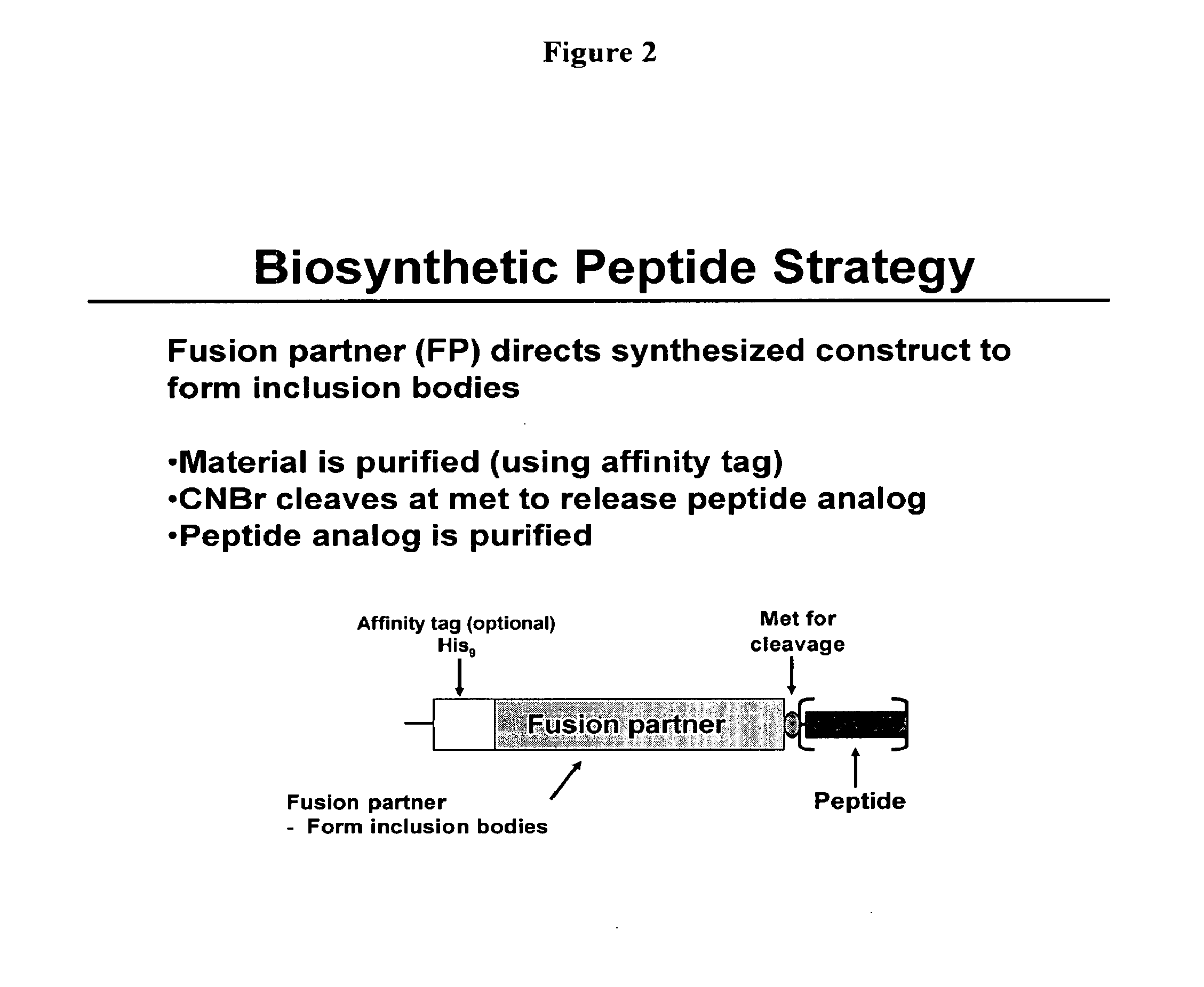 Biosynthetic Polypeptide Fusion Inhibitors