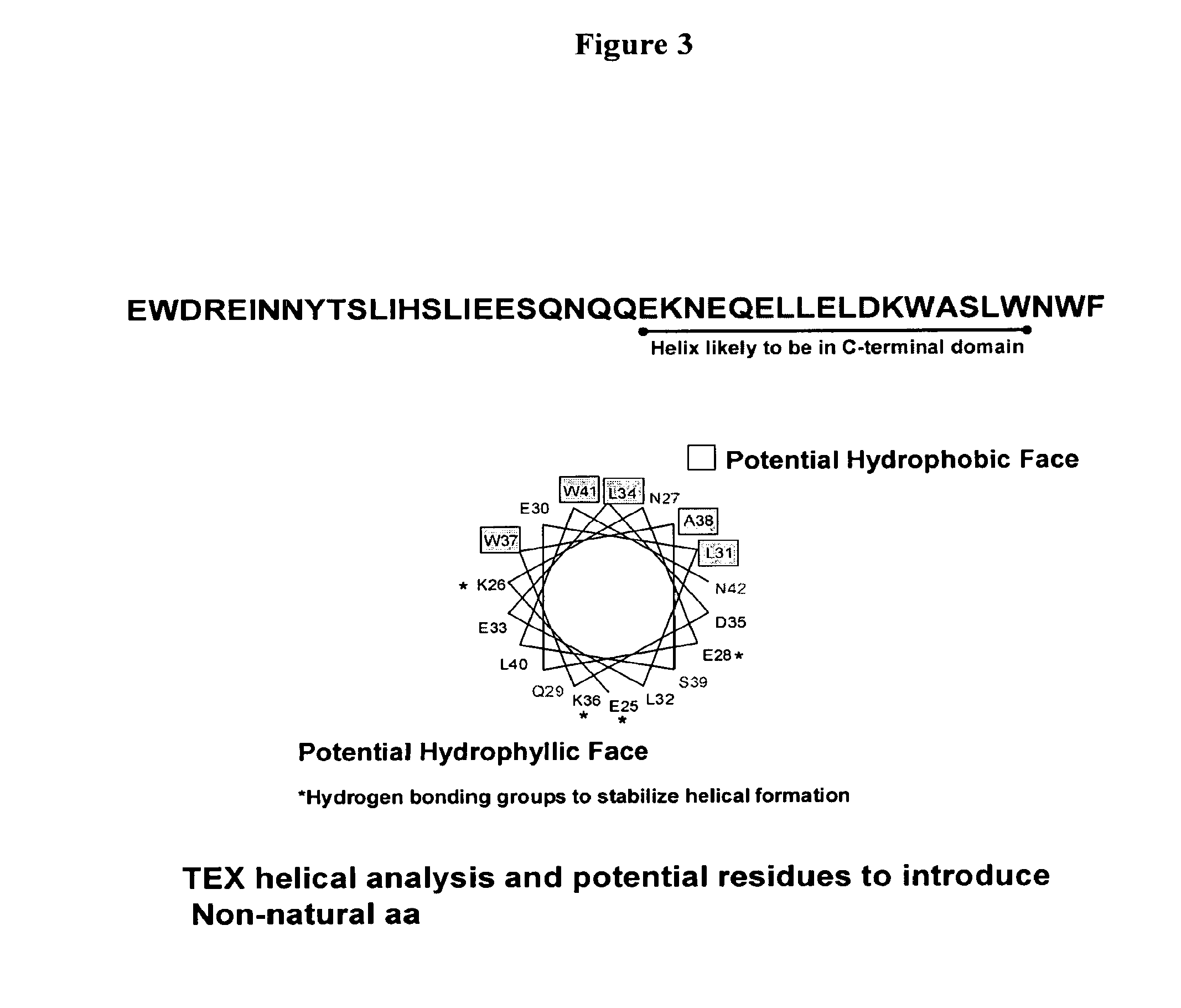 Biosynthetic Polypeptide Fusion Inhibitors