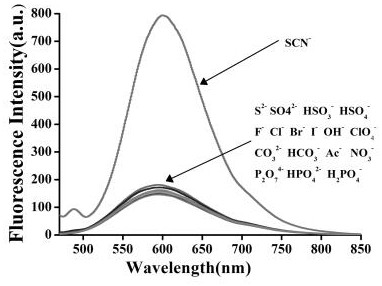 A fluorescent probe for recognizing thiocyanate and its preparation and recognition method