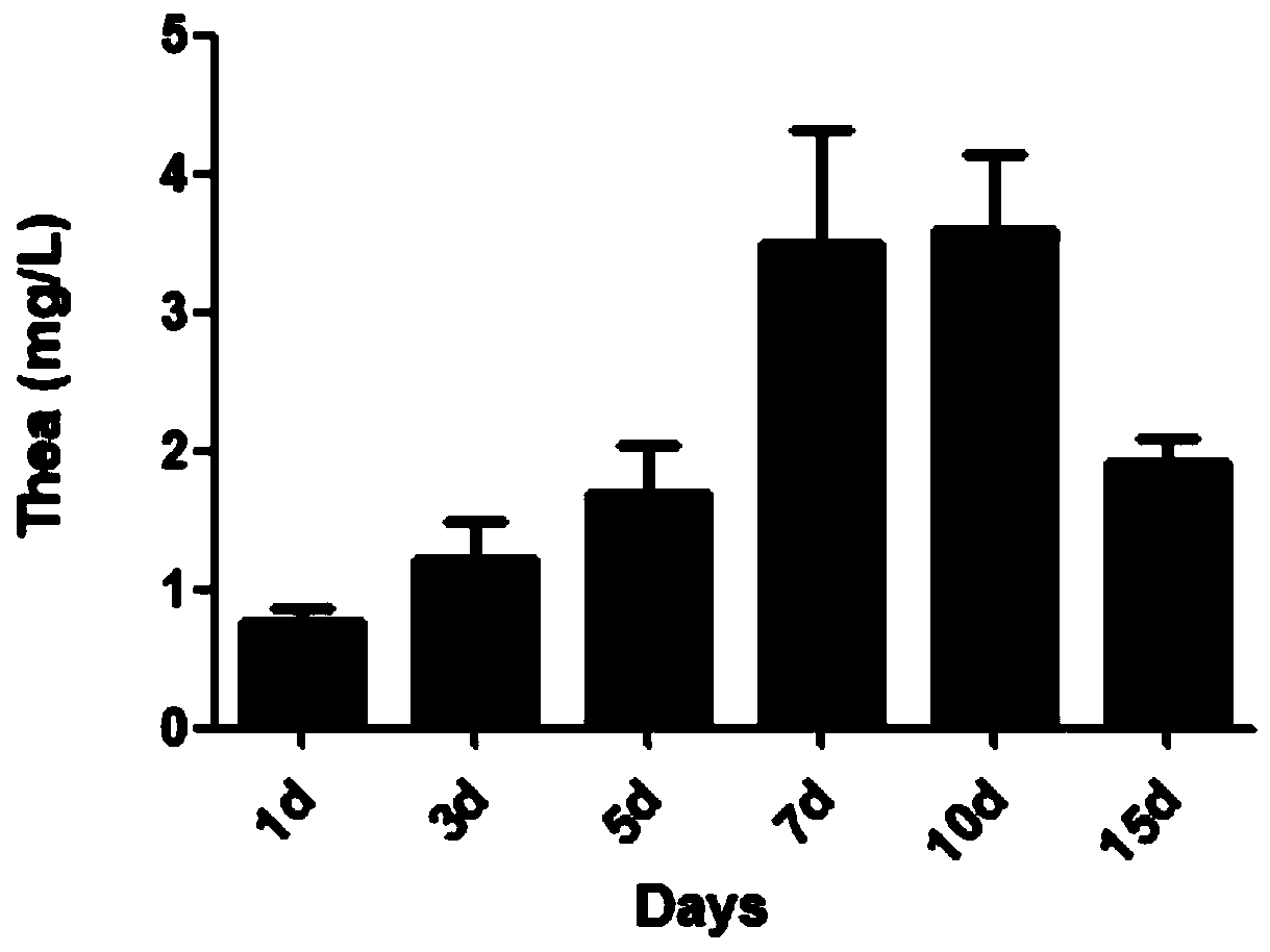 Flora for producing L-theanine and application of flora