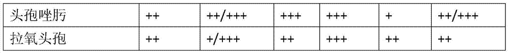 Morpholinidazole crystal and its preparation method and medical application