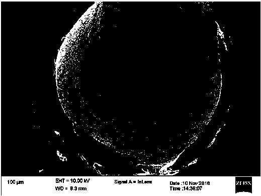 A Rapid Preparation Process of Inert Based Dispersed Fuel Pellets