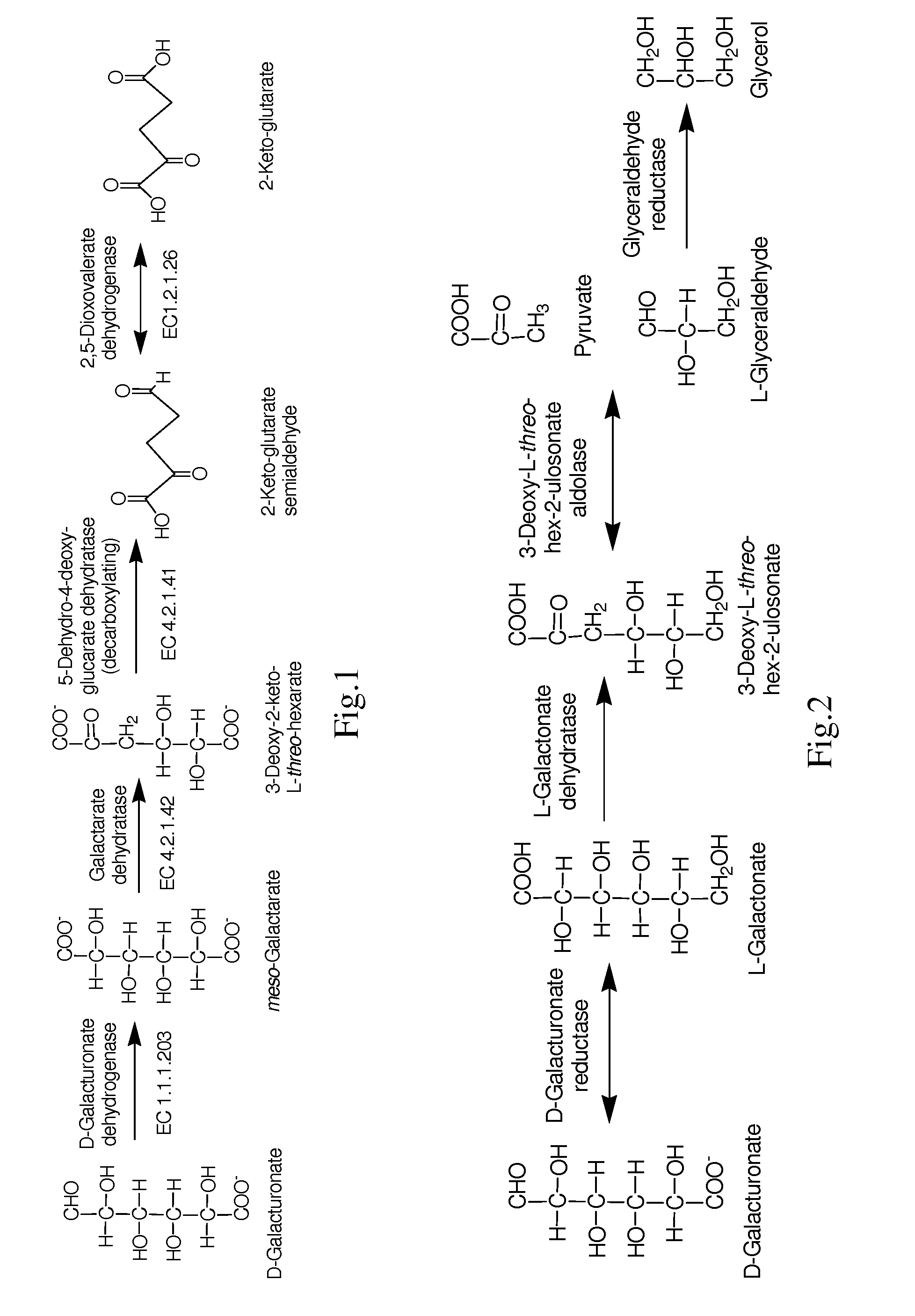 Conversion of hexuronic acid to hexaric acid