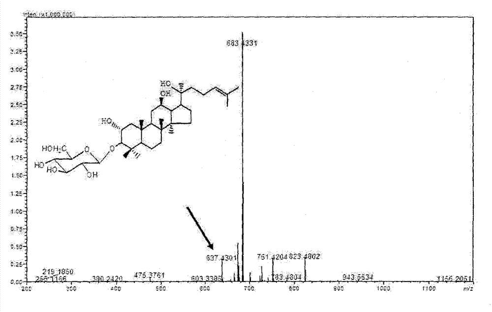 Compounds with antitumor activity, and preparation method and application thereof
