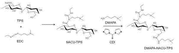 Tea polysaccharide derivative and preparation method thereof