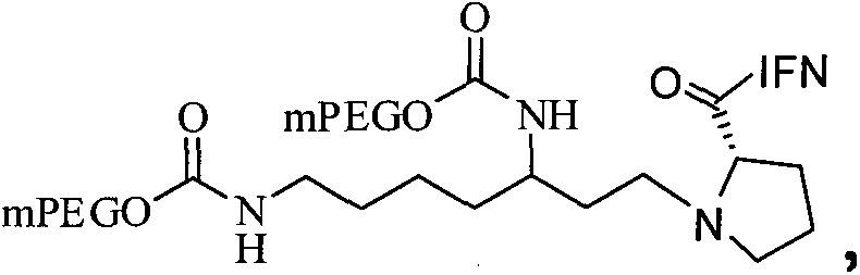 Protein-polymer conjugates