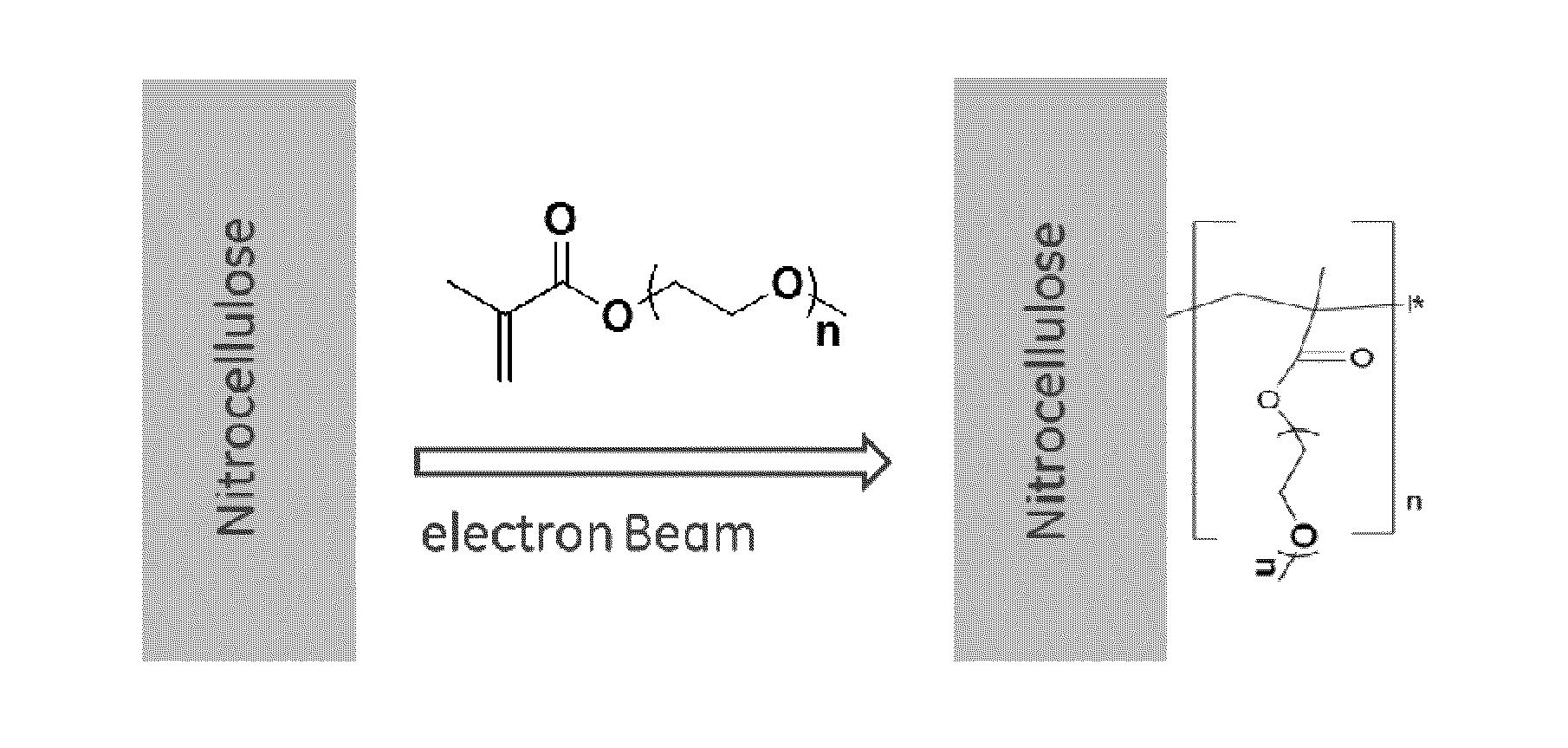 Porous membranes having a hydrophilic coating and methods for their preparation and use