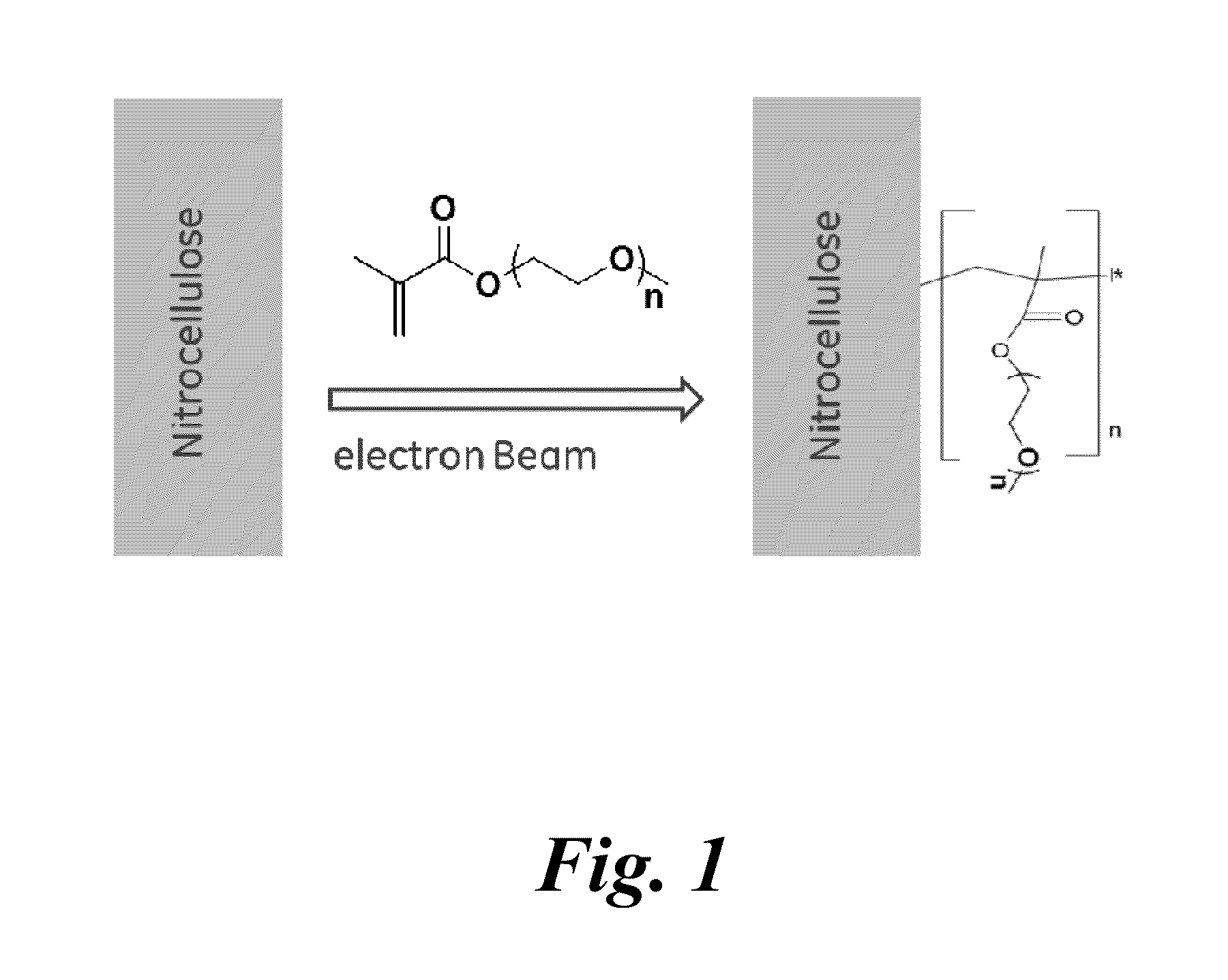 Porous membranes having a hydrophilic coating and methods for their preparation and use