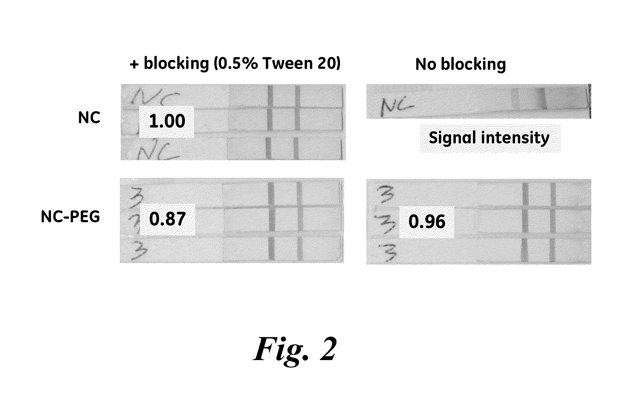 Porous membranes having a hydrophilic coating and methods for their preparation and use