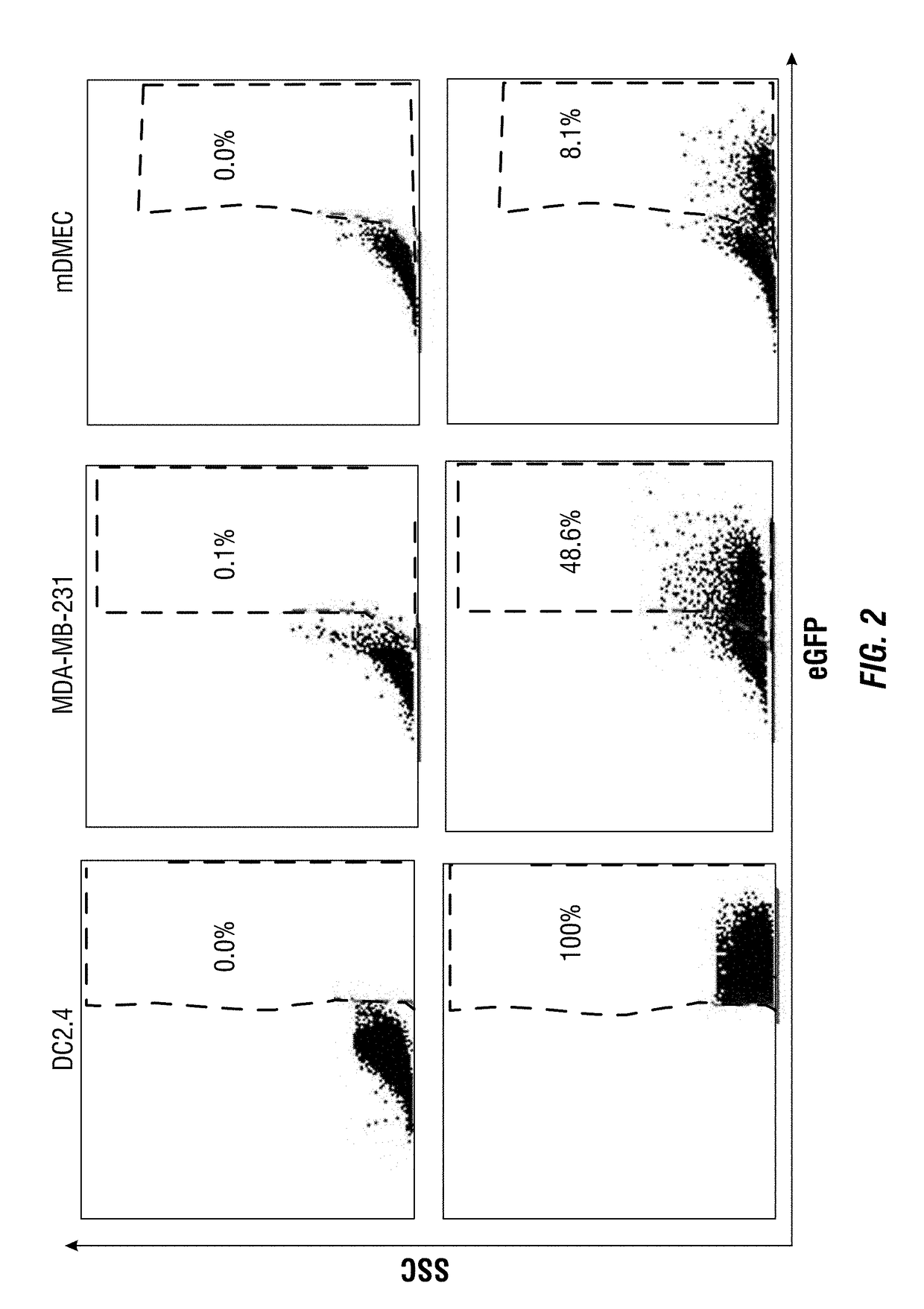 Core/Shell Structure Platform For Immunotherapy