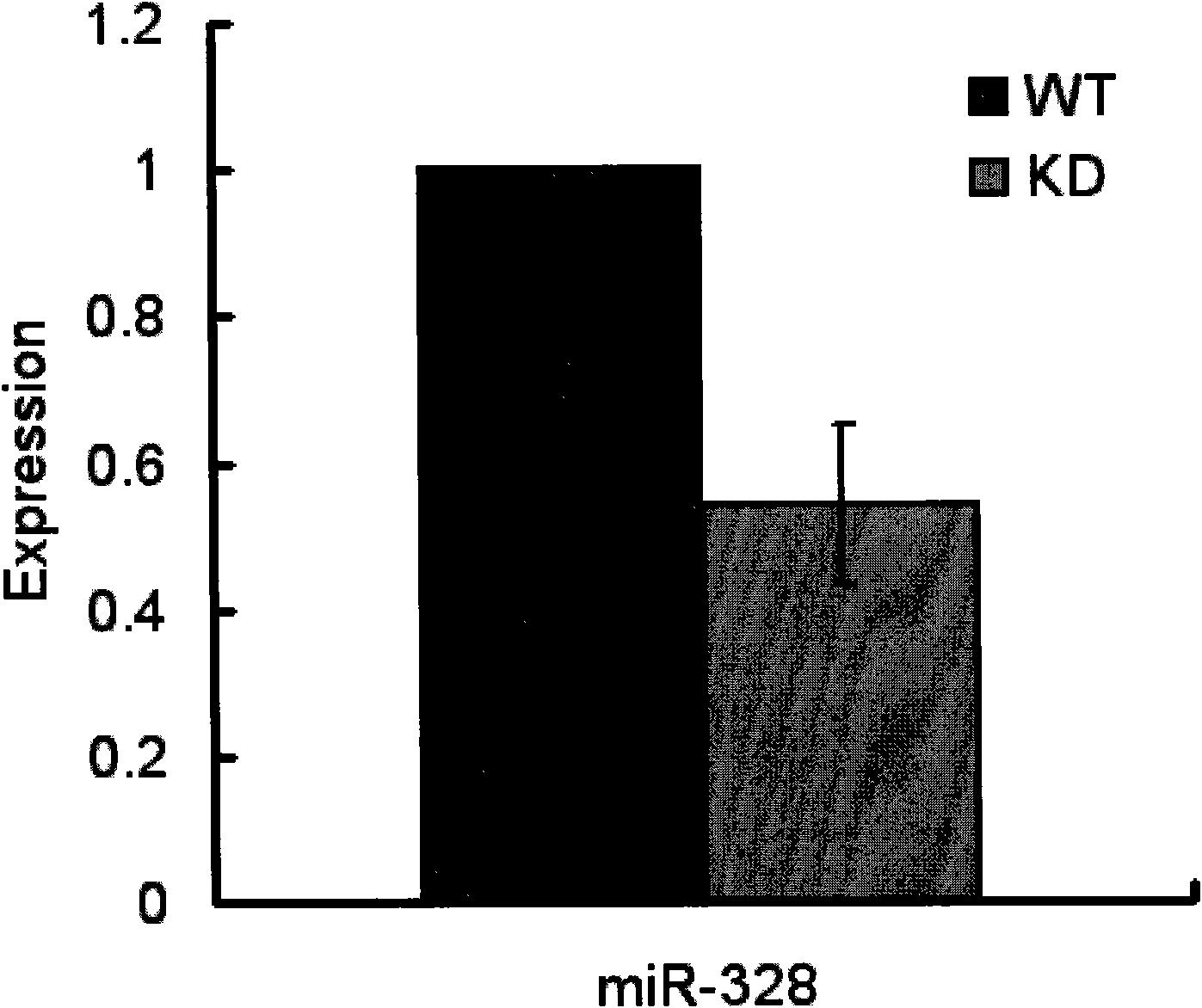 Method for building special microRNA knock-down mouse model of heart