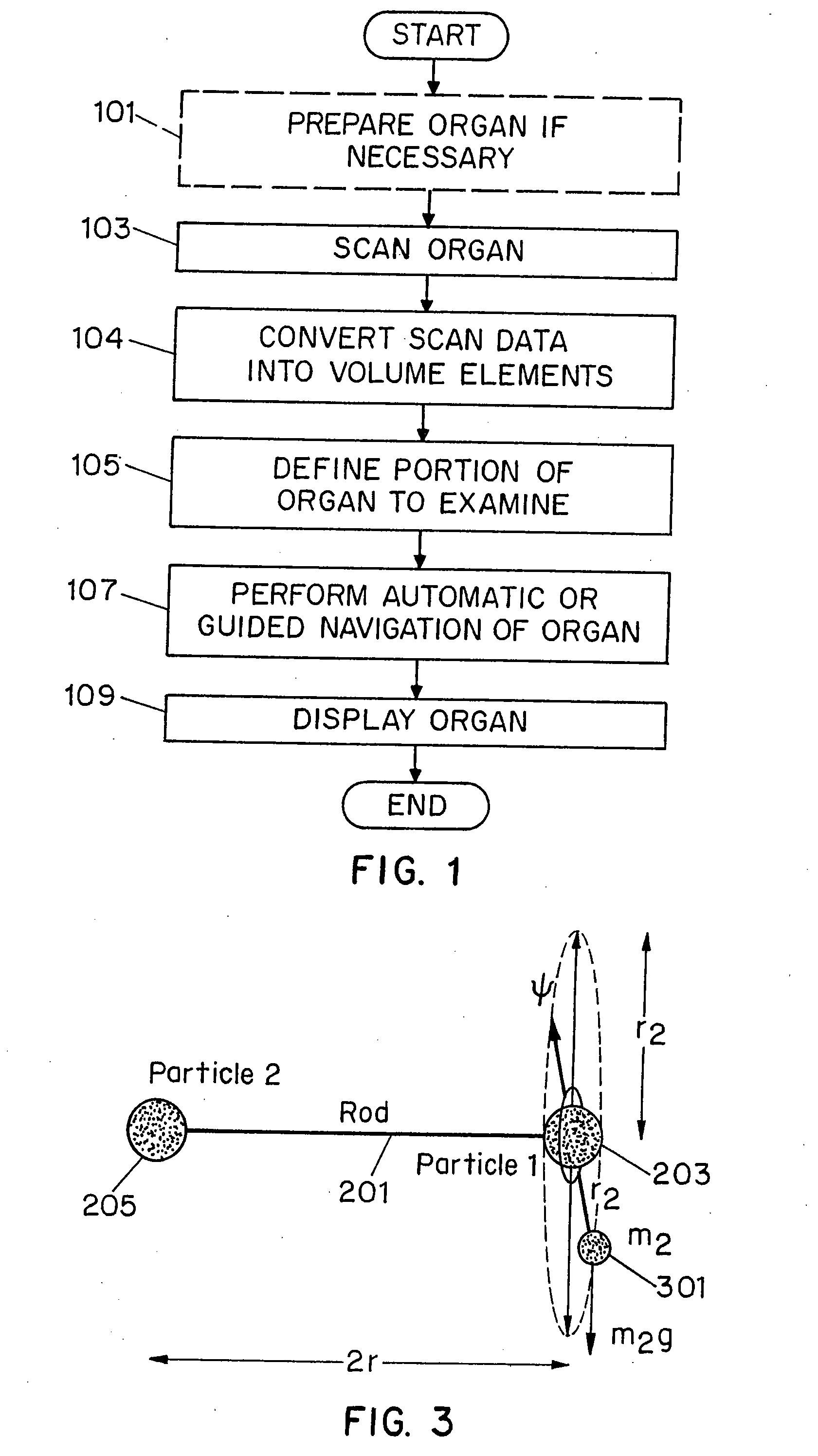 System and method for performing a three-dimensional virtual examination of objects, such as internal organs