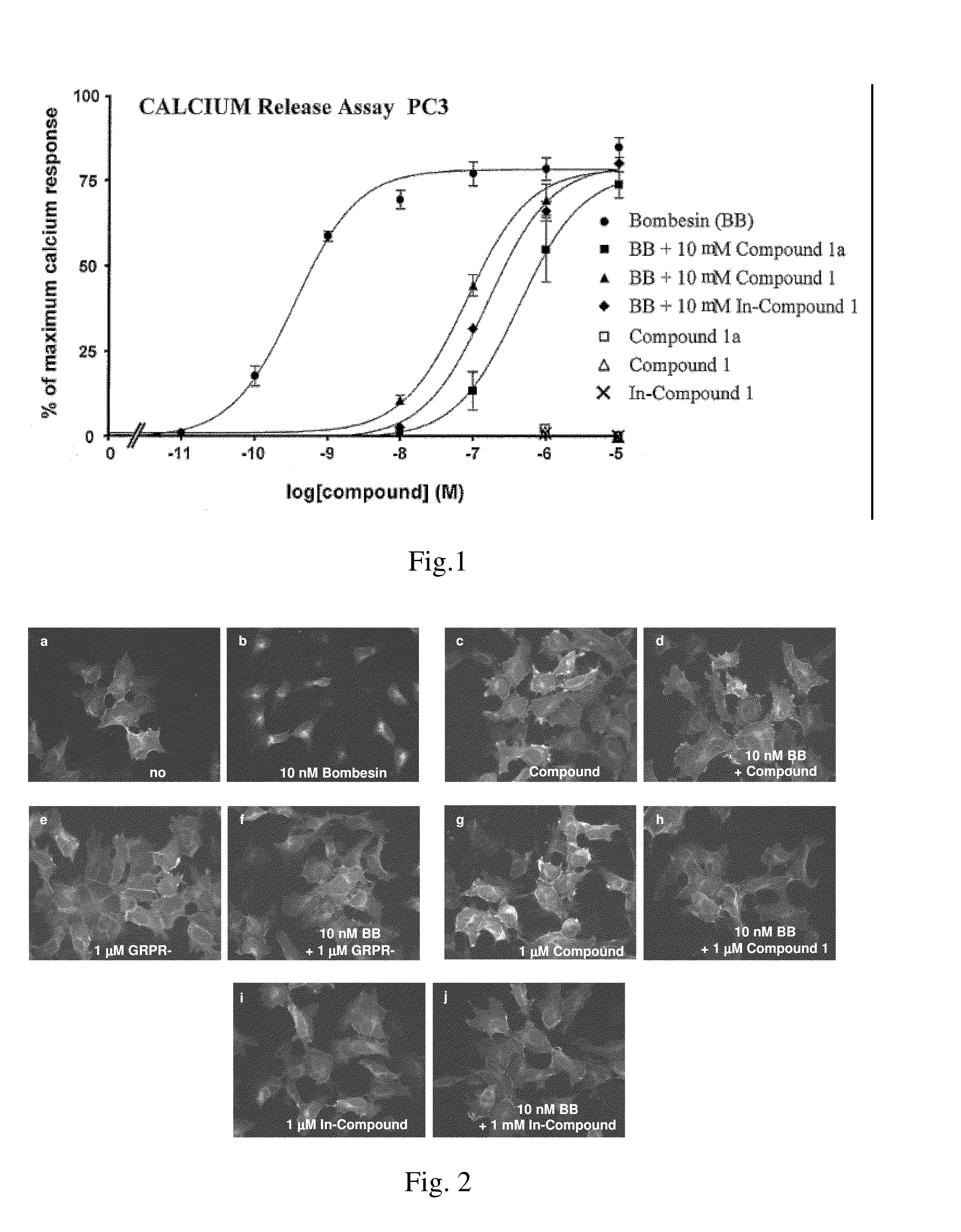 Bombesin analog peptide antagonist conjugates