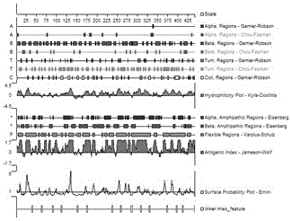 Preparation method and application of brucellosis specific fusion protein antigen