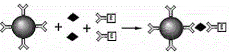 Reagent for high throughput combined detection of hepatitis c virus antigen-antibody